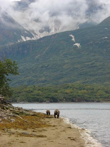 Katmai better look bhind you1