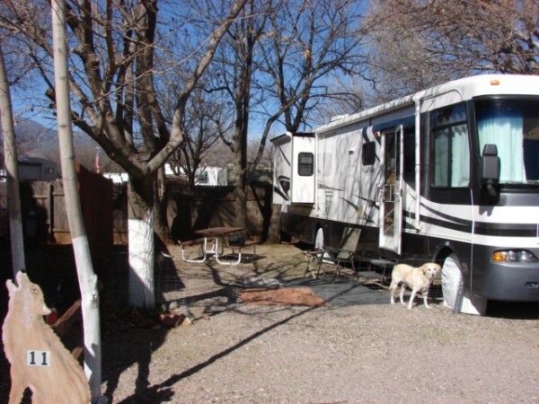 Arizona Doras new home