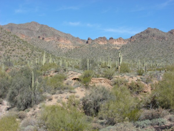 Arizona Usery Tonto National Forest