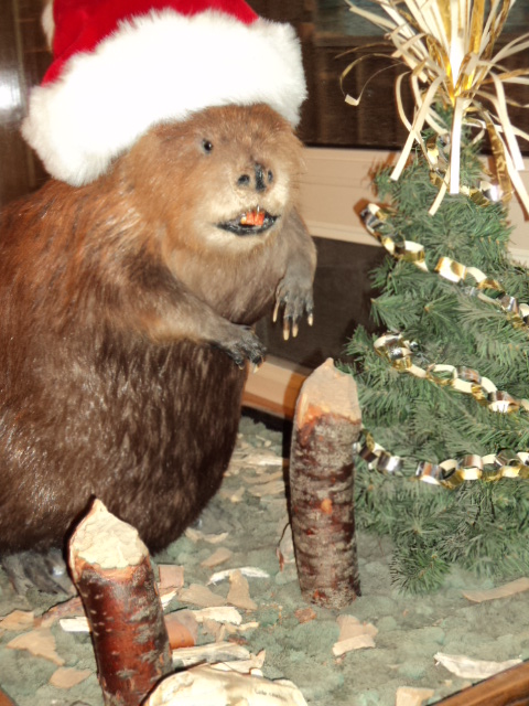 AK Christmas decorations Beaver